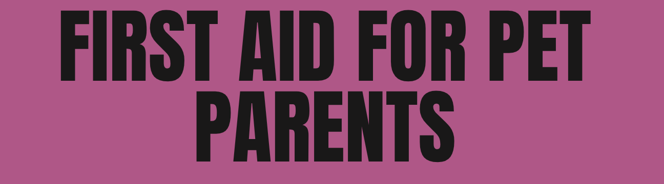 WE Exclusive: First Aid for Pet Parents with Dr. Karla